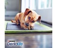 Stick oral para perros mini PURINA DENTALIFE  69 g.