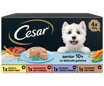 Comida para perro adulto a base de paté de cordero CÉSAR 4 unidades 150 g.