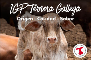 IGP Ternera Gallega