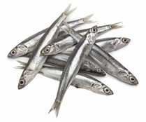 Boquerón mostrador de lonja local