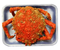 Centollo cocido