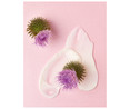 Crema de día con extracto de Bardana orgánico y acción antiarrugas NIVEA Naturally good 50 ml.