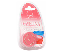 Vaselina neutra perfumada GAL 15 g.
