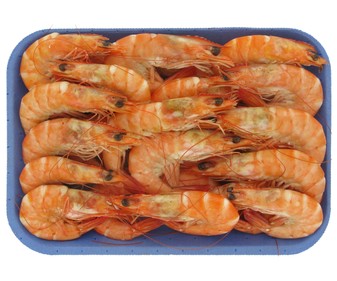 Langostino cocido Langostino cocido