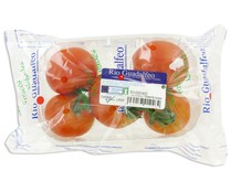 Tomates en rama HORTALIZA barqueta de 500 g
