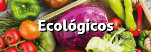 Ecologico