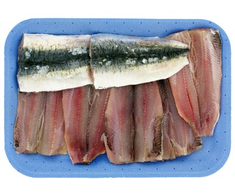 Filete de sardina Filete de sardina