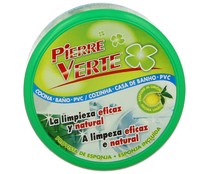 Limpiador multiusos provisto de esponja PIERRE VERTE 200 gr,