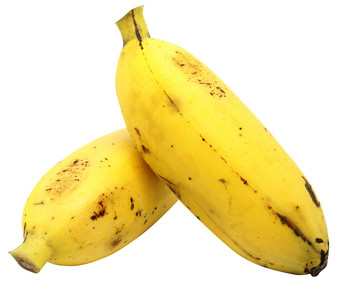 56445_1.jpg 56445_1.jpg