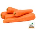 Zanahorias PREMIUM