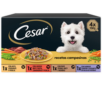 Comida para perro, surtido CÉSAR 4 unidades de 150 g.