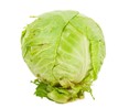 Repollo 