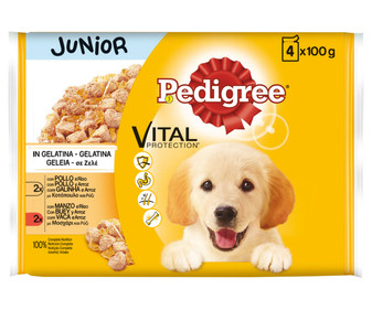 Comida para perro junior húmedo a base de pollo gelatina PEDIGREE 4 uds. x 100 g.