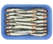 Boquerón grande