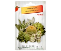 Sobre de semillas para plantar cactus variados PRODUCTO ALCAMPO.