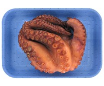 Pulpo cocido