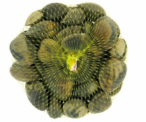 Almejas japónicas 40/60 malla 500 g.