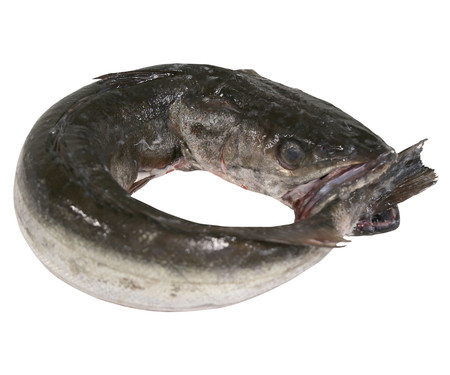 Merluza pincho de Celeiro mostrador Merluza pincho de Celeiro mostrador