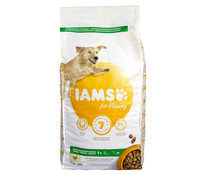 Alimento seco de perro raza grande adulto, con pollo fresco IAMS 3 kg. 