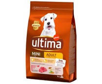 Alimento seco para perros adultos mini a base de buey ÚLTIMA Affinity 3 kg.