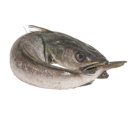Merluza pincho MERLUZA | Alcampo Compra Online Merluza pincho MERLUZA | Alcampo Compra Online