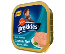 Comida para gatos húmeda a base de salmón y atún BREKKIES tarrina 100 g. 
