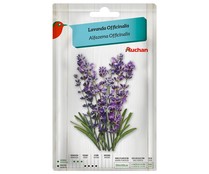 Sobre de semillas para plantar lavanda de la variedad Officinalis PRODUCTO ALCAMPO.