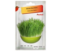Sobre de semillas para sembrar hierba para gatos PRODUCTO ALCAMPO.