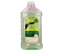 Fregasuelos y superficies ecológico ZORKA 1 l.