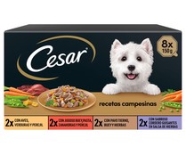 Comida para perro adulto, surtido CESAR 8 unidades de 150 gr.