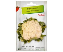 Sobre de semillas para sembrar coliflor de la variedad Dominant PRODUCTO ALCAMPO.