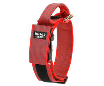 Collar regulable para perros con asa de color rojo JULIUS K9 40 mm (38-53 cm) 1 ud. 