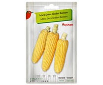 Sobre de semillas para sembrar maiz dulce de la variedad Golden Bantam PRODUCTO ALCAMPO.