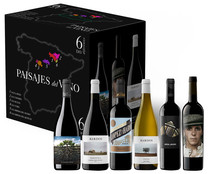 Estuche con 6 botellas de vino de diferentes denominaciones de origen PAISAJES DEL VINO.