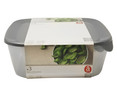 Set de 3 recipientes herméticos de plástico para alimentos, 0,8 - 1,7 - 2,9 litros, CURVER.