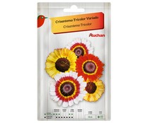 Sobre de semillas para plantar crisantemos de la variedad Tricolor de colores variados PRODUCTO ALCAMPO.