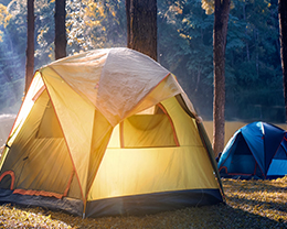 Bienvenido al camping Bienvenido al camping