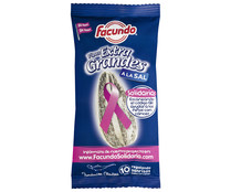 Pipas extra grandes a la sal FACUNDO 90 g.