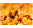 Cocktail frutos secos Mix 5 Classic MISTERCORN GREFUSA, bolsa 172g
