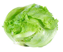 Lechuga iceberg ecológica 1ud.