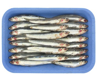 Boquerón grande Boquerón grande