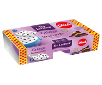 Yogur griego de stracciatella sin lactosa elaborado con leche recogida diariamente DHUL 2 x 125 g.