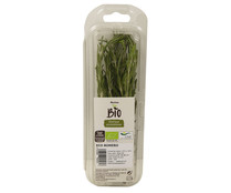 Romero PRODUCTO ALCAMPO 20gr.