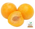 Ciruelas PREMIUM