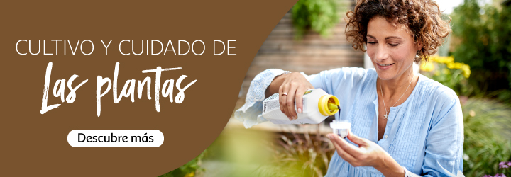Cultivo y cuidado de las plantas