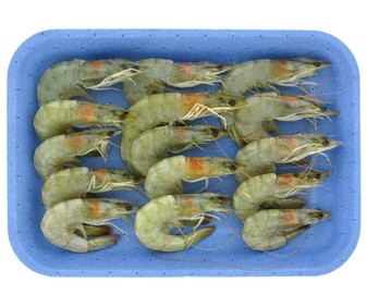 Langostino Langostino