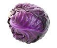 Lombarda