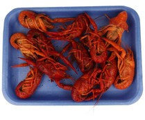 Cangrejos de río cocidos