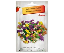 Sobre de semillas para plantar statice de la variedad Sinuata de colores variados PRODUCTO ALCAMPO.