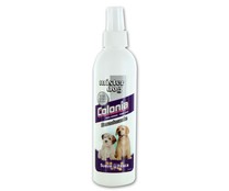 Colonia de spray fresca y suave para perros MISTER DOG 250 ml.